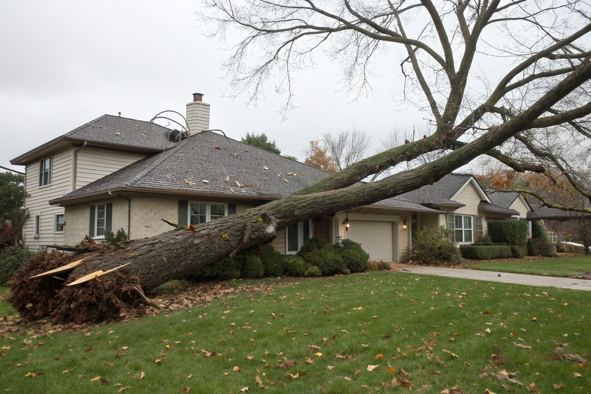 A large fallen tree trunk lying across the yard and roof edge of a two-story house