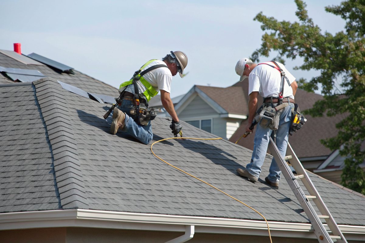 Two roofers in harnesses installing new gray shingles on a pitched roof